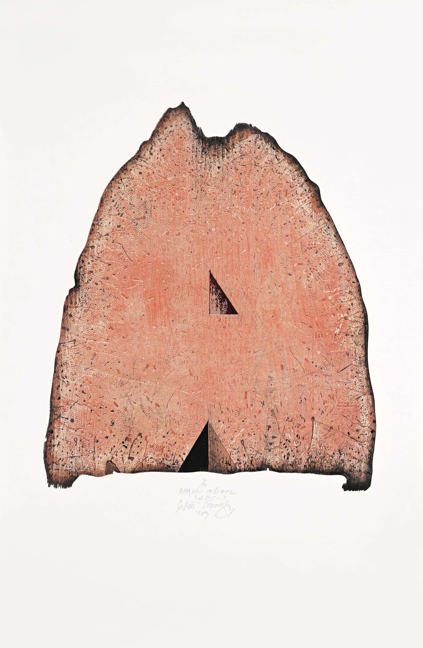 Zapis X, 1984, barvni lesorez, papir, 94 x 65 cm, Galerija Murska Sobota (foto: Dubravko Baumgartner)
