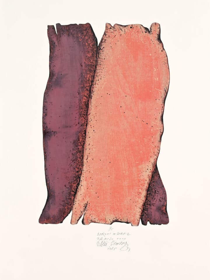 Zapis XXXX, 1985, barvni lesorez, papir, 90 x 60 cm, Galerija Murska Sobota (foto: Dubravko Baumgartner)