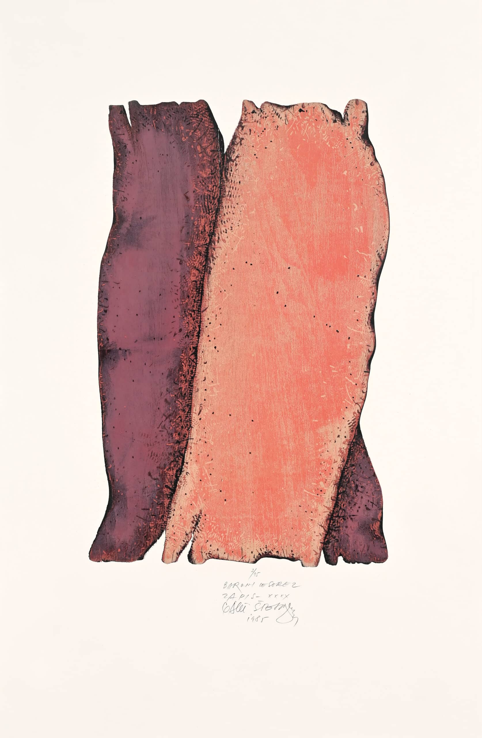 Zapis XXXX, 1985, barvni lesorez, papir, 90 x 60 cm, Galerija Murska Sobota (foto: Dubravko Baumgartner)