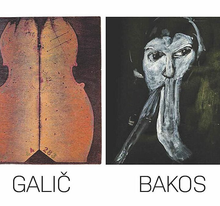 ŠTEFAN GALIČ / BAKOS TAMÁS