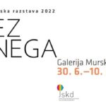 VIDEZ TIPNEGA, 8. državna tematska razstava JSKD Republike Slovenije