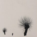 JANEZ MARENČIČ. Fotografije Janez Marenčič. Fotografije